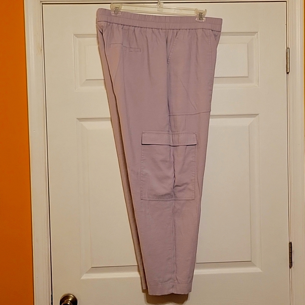 Target A New Day cargo pants XXL Lavender